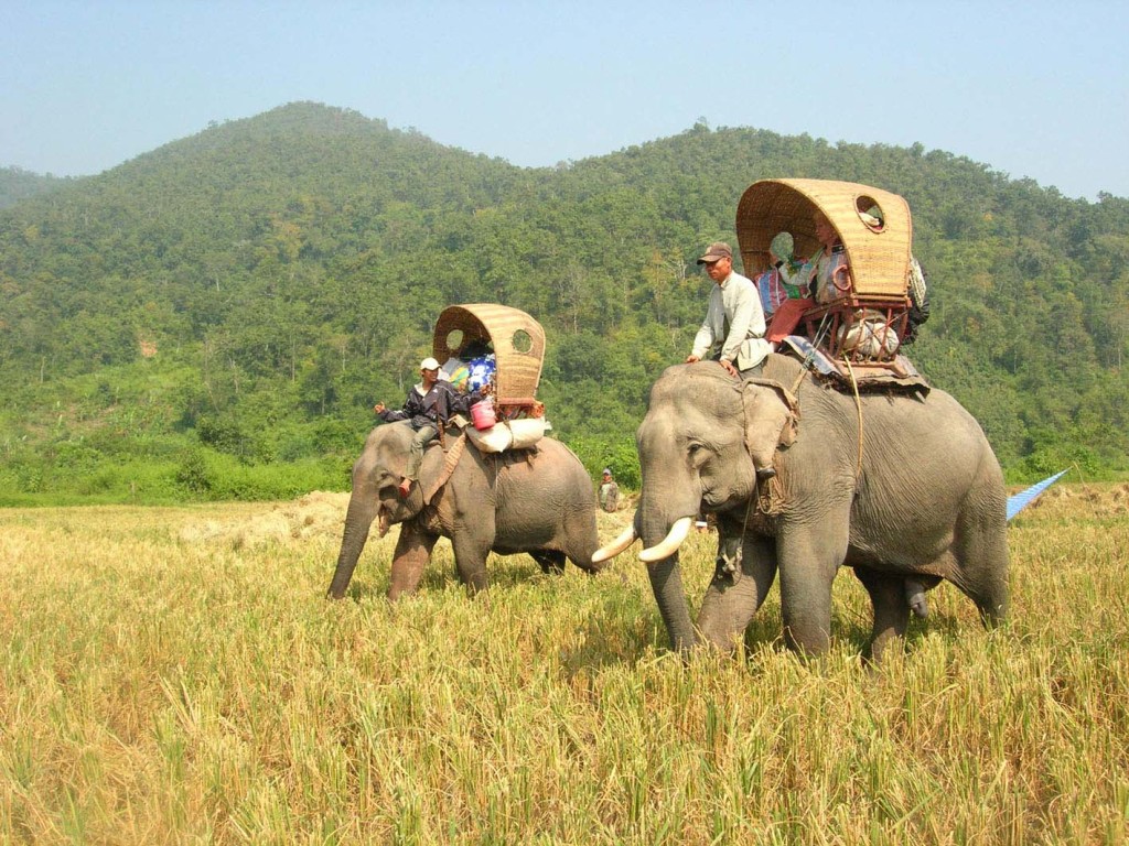 Elephant Ride in Laos